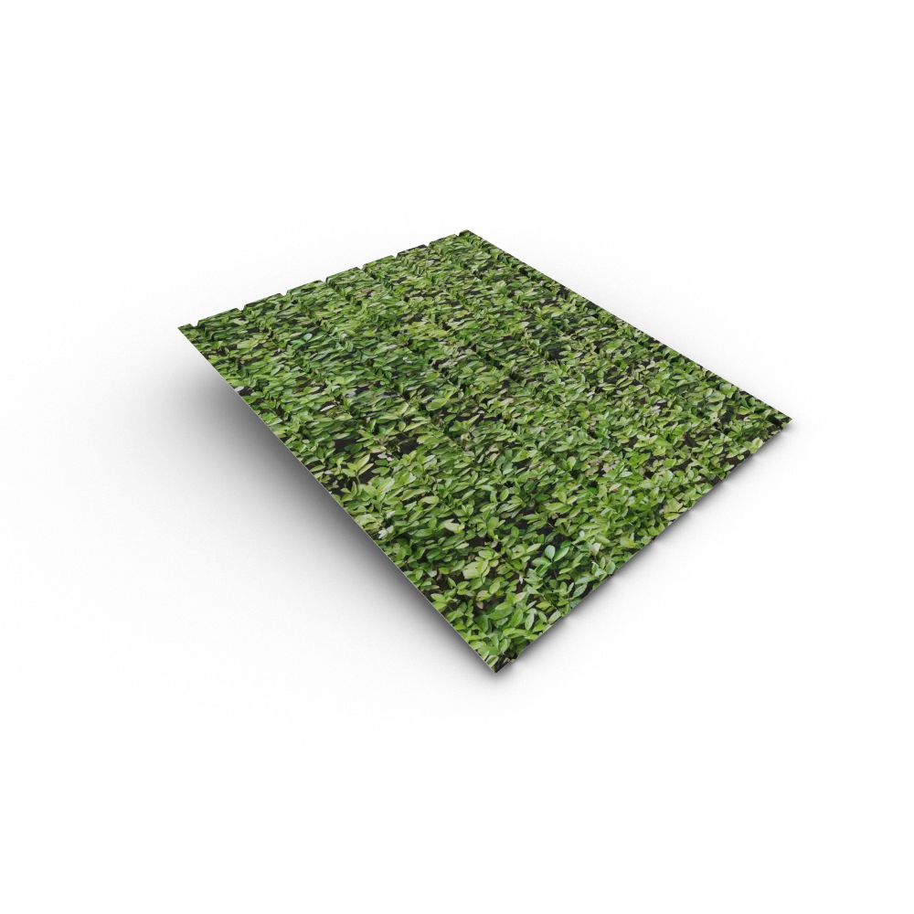 h12r_pt_cranberry